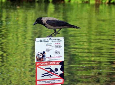 Прикрепленное изображение: 804.jpg